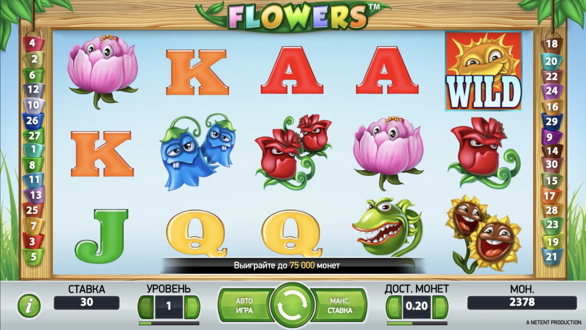 flowers