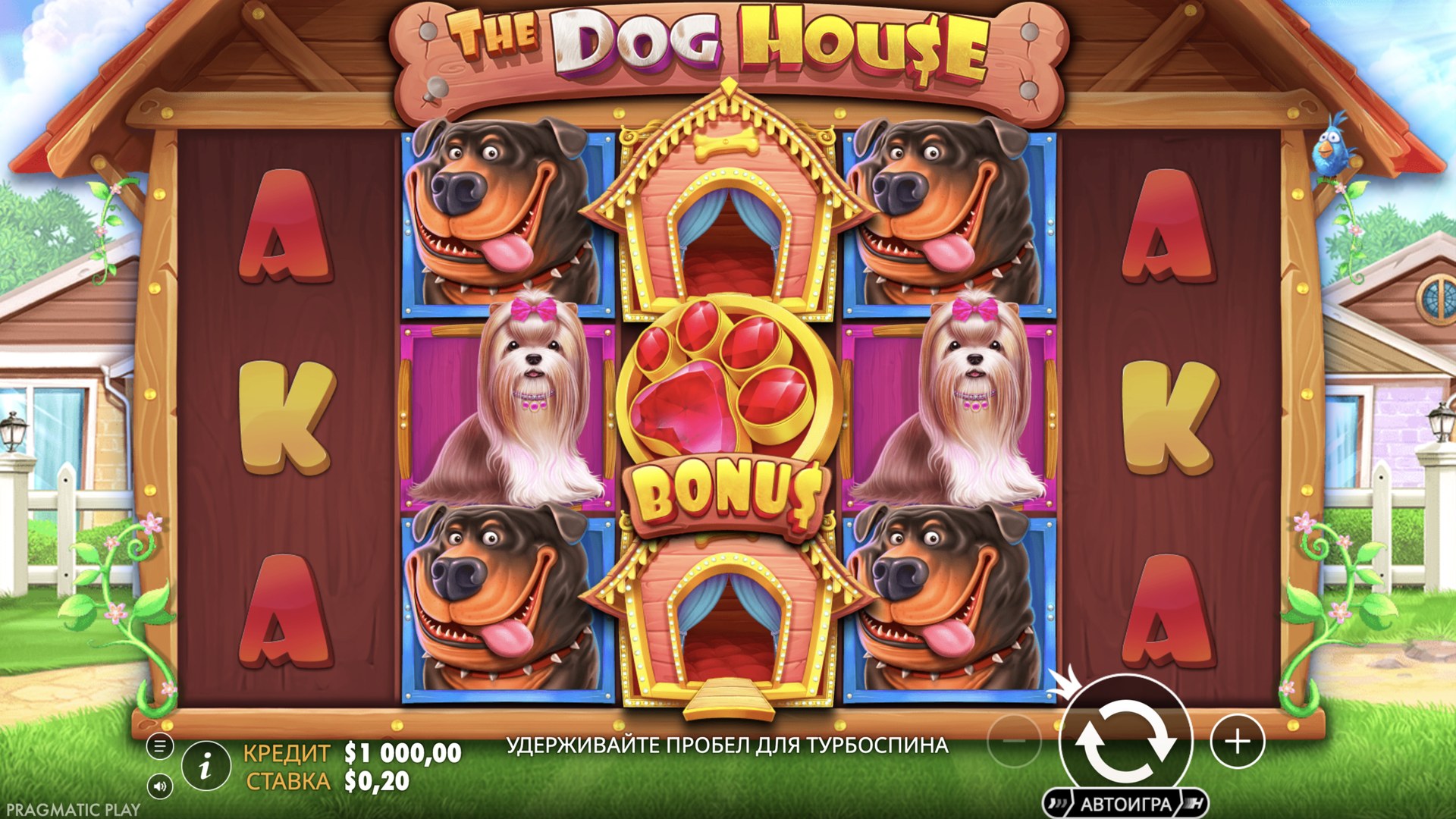 the_dog_house