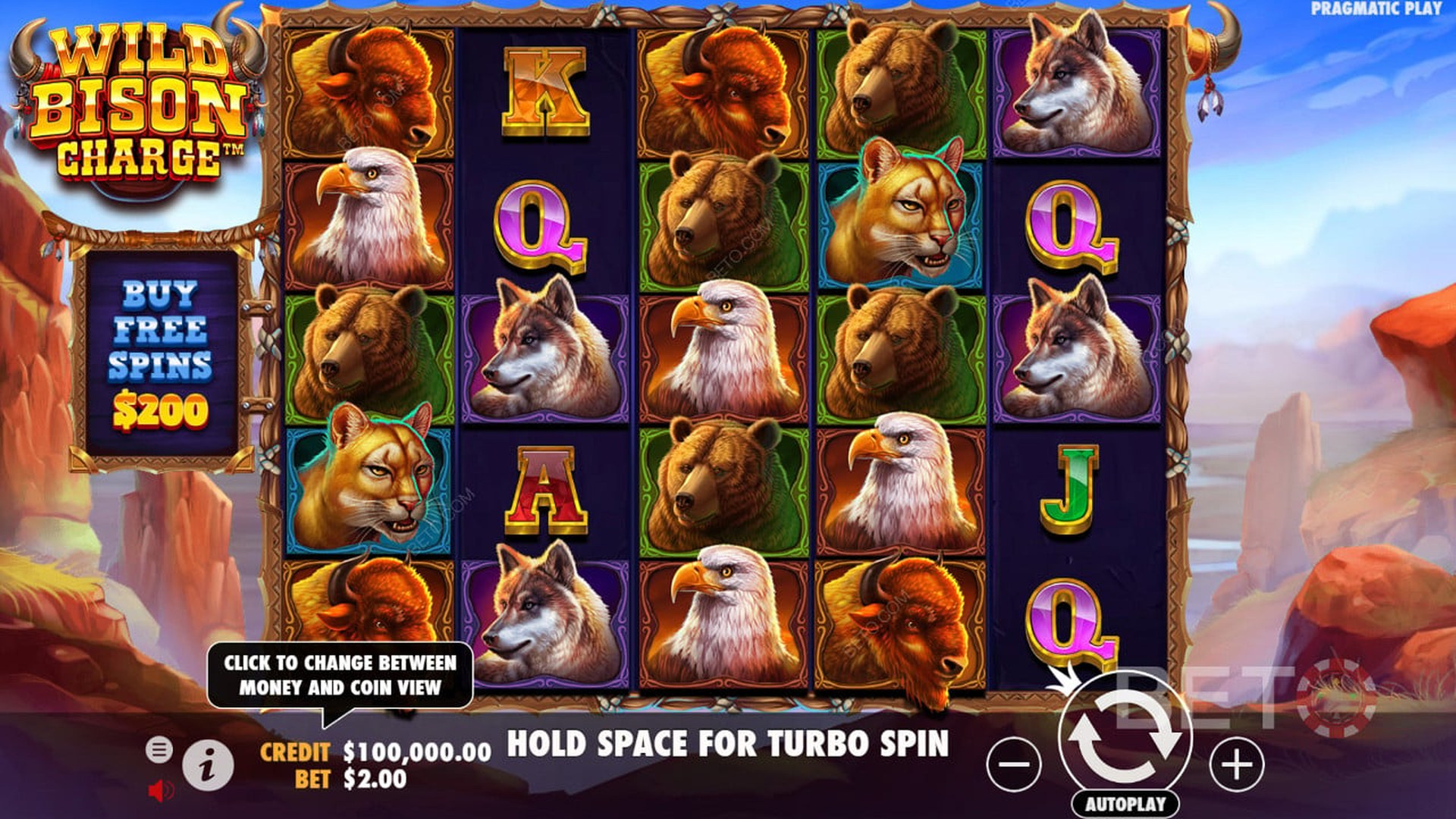 Wild Bison Charge
